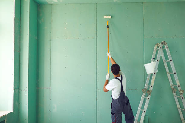 Best Black Mold Removal  in Swifton, AR