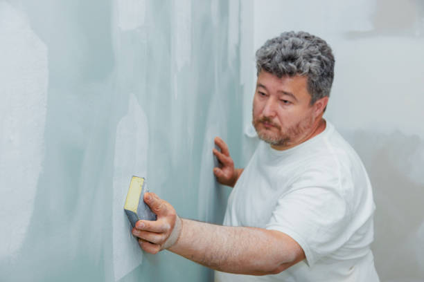 Professional Mold Removal in Swifton, AR